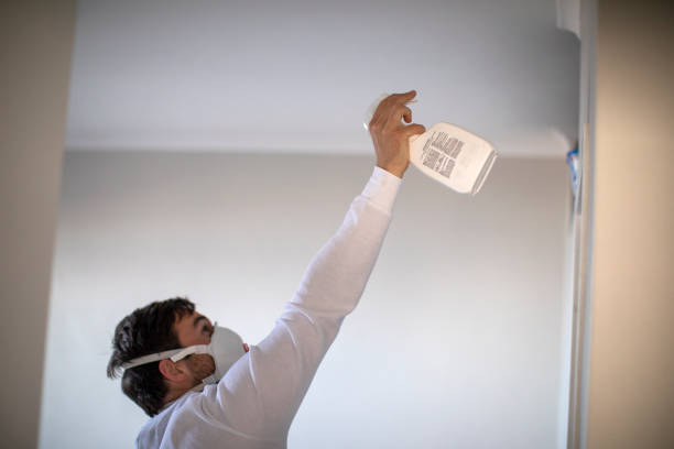 Best Mold Damage Repair  in Homer Glen, IL