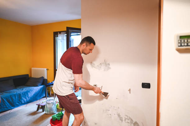 Best Mold Removal Near Me  in Homer Glen, IL